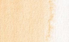 068 Carnicino - Acquarello Maimeri Venezia 15ml