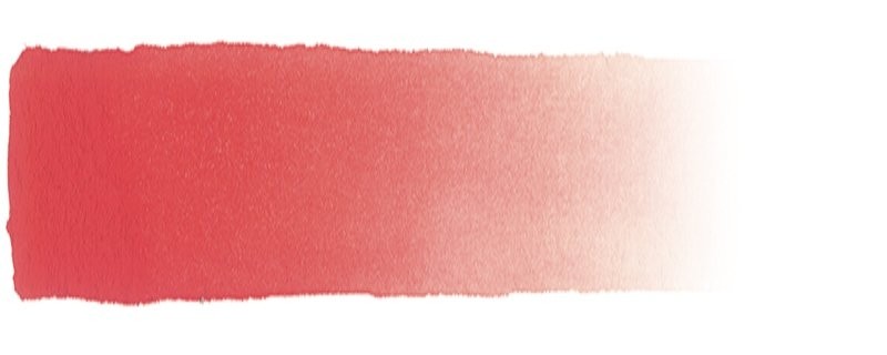 30 Rosso Scarlatto Gr.3 - Acquerello Foresto, godet intero