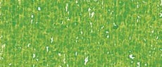 323 Verde giallastro - Pastelli ad olio Maimeri Classico