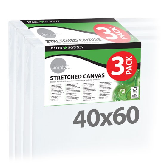 Confezione 3 Tele per pittura didattiche Daler 3Pack cm 40x60