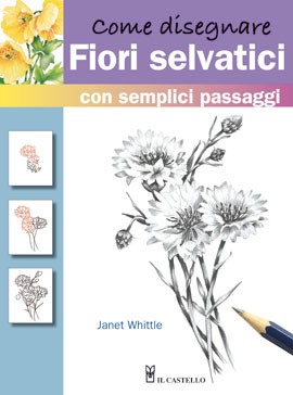 Libro Come disegnare Cavalli con semplici passaggi - Il Castello Editore