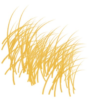  Inchiostro per stampa base olio Akua Speedball