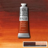 074 Burnt Sienna - Colore ad olio Winton - Winsor & Newton - 37 ml