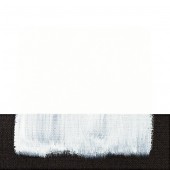 018 Bianco di titanio - Acrilico Maimeri Polycolor 20ml