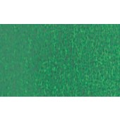 312 Verde di Hooker Scuro - Acquarello Winsor & Newton Cotman mezzo godet