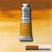 552 Raw Sienna - Colore ad olio Winton - Winsor & Newton - 37 ml