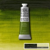 599 Sap green - Colore ad olio Winton - Winsor & Newton - 37 ml