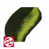 620 Verde Oliva - Colori ad olio Vang Gogh Talens, 40ml