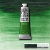 637 Terre Verte - Colore ad olio Winton - Winsor & Newton - 37 ml