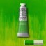 403 Phthalo Yellow Green  - Colore ad olio Winton - Winsor & Newton - 37 ml - Colore ad olio Winton - Winsor & Newton - 37 ml