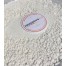 gesso di bologna comprare gesso di bologna prezzi gesso